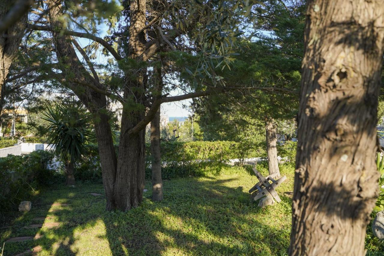 La Casa Di Marta